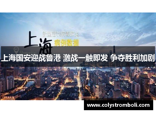 上海国安迎战鲁港 激战一触即发 争夺胜利加剧